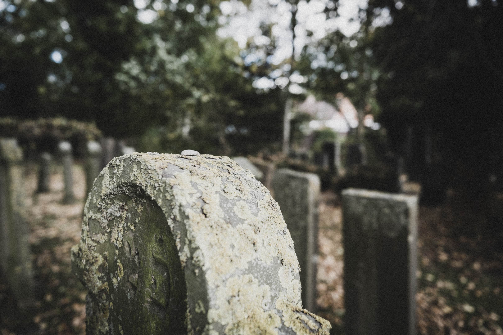 Leer (Ostfriesland), Jüdischer Friedhof